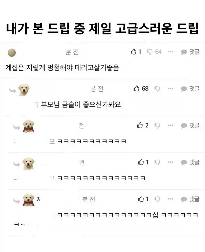 웃대의 품격_1.webp