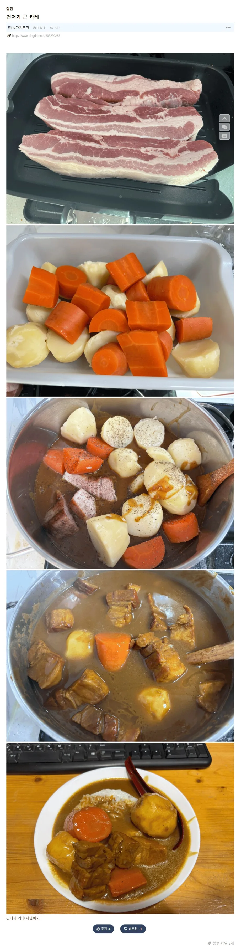 건더기 큰 카레.webp_1.png