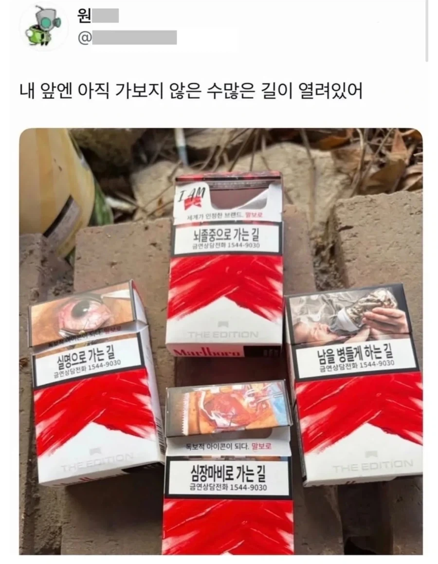 꼴초의 미래_1.webp