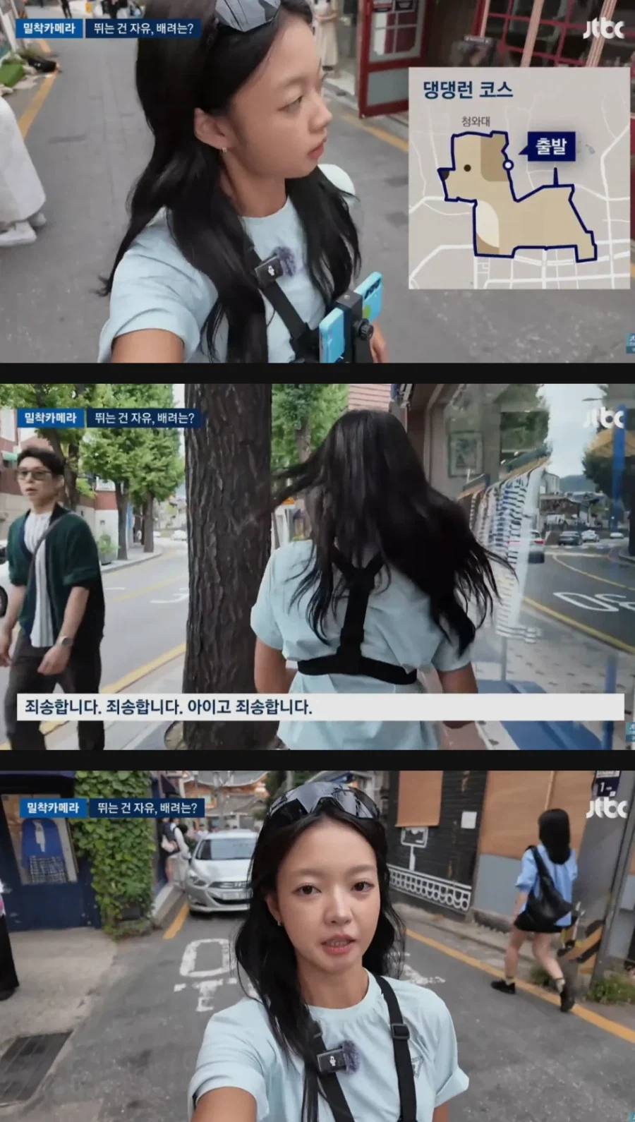 댕댕런 민폐러너들 때문에 몸살이라는 경복궁_3.webp