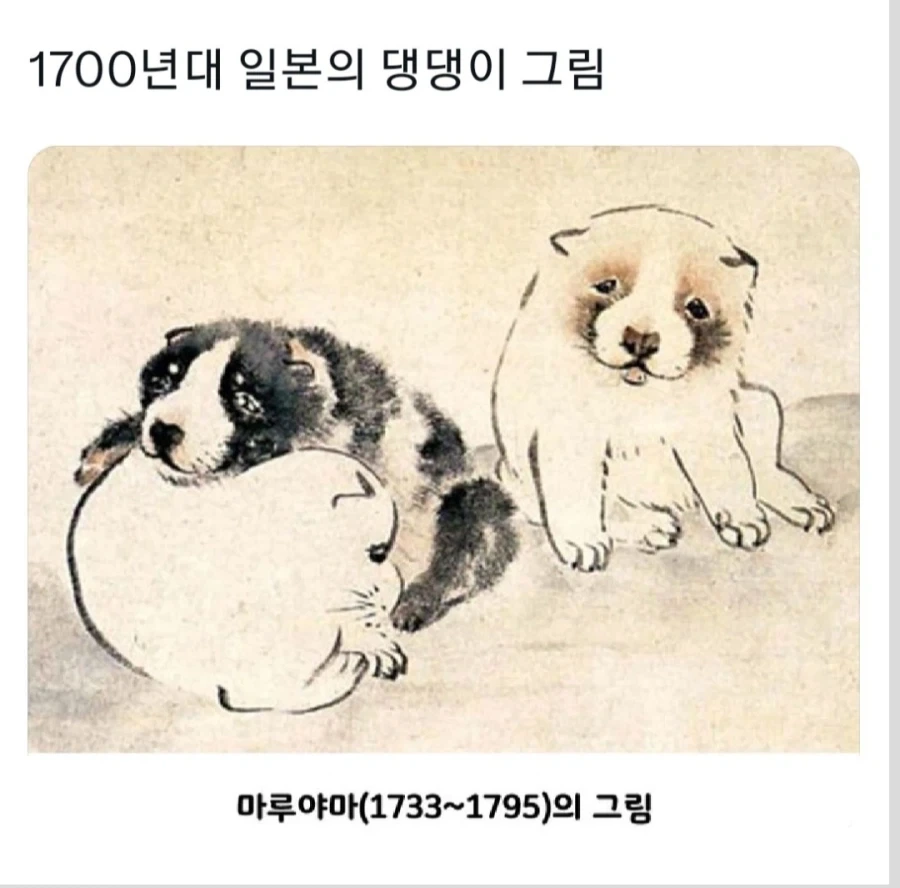 1700년대 일본의 댕댕이 그림_1.webp