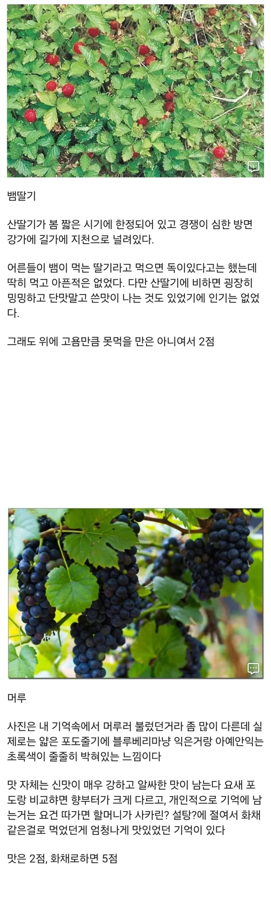 20대 디씨인이 어렸을때 먹던 간식들_2.webp