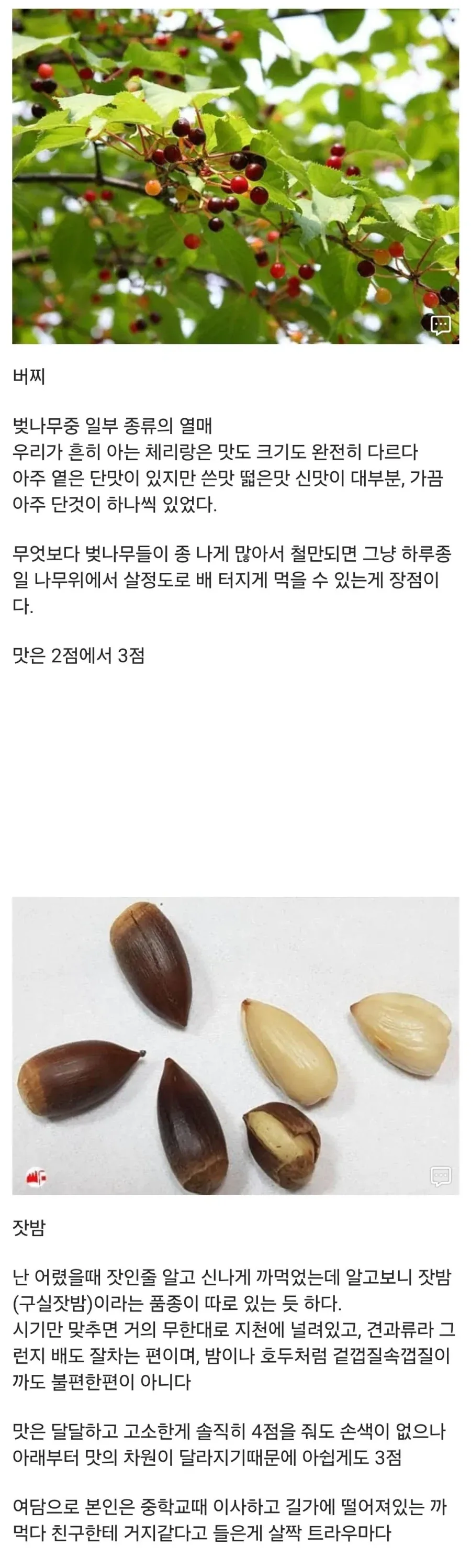 20대 디씨인이 어렸을때 먹던 간식들_3.webp
