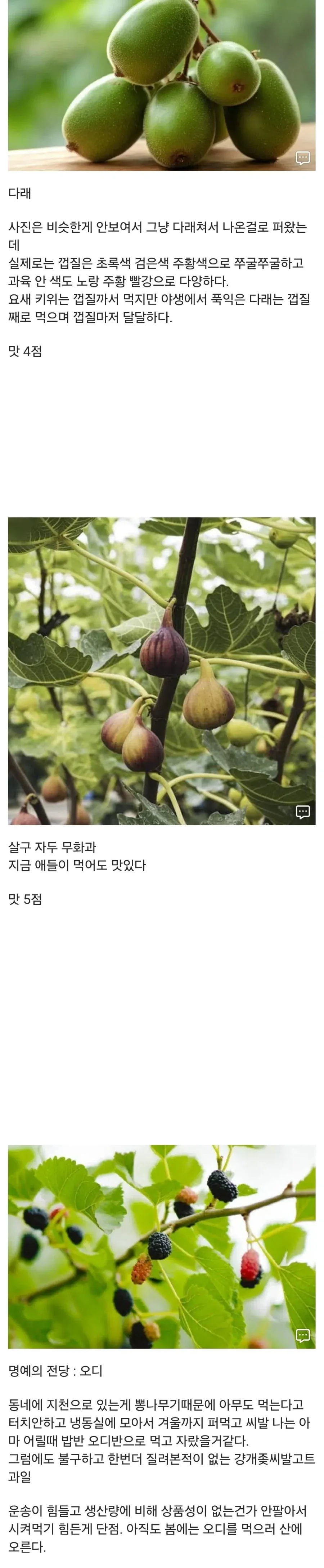 20대 디씨인이 어렸을때 먹던 간식들_5.webp