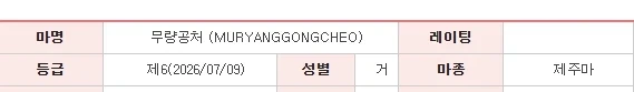흔하지않은 말의 이름_1.webp