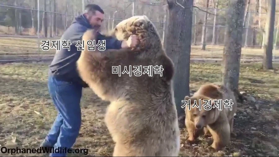 경제학과 신입생별 전공 난이도_2.webp