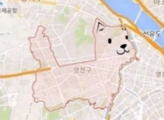 댕댕런, 난 이정도면 인정할 수 있음_4.webp
