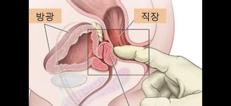 직장내 괴롭힘_2.webp