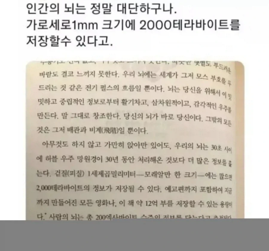 인간 뇌가 1mm당 저장할 수 있는 용량.... ㄷㄷㄷ_1.webp