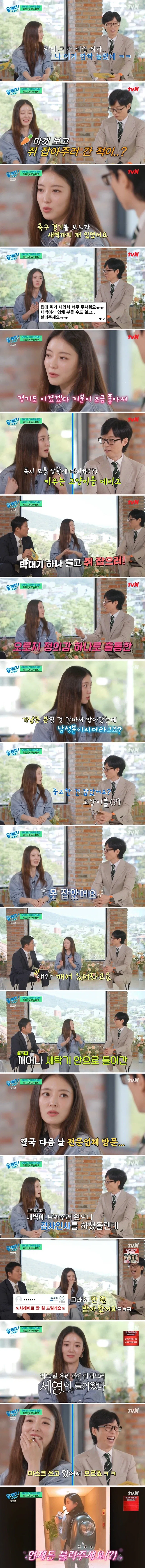 쥐도 잡아주는 배우_1.webp