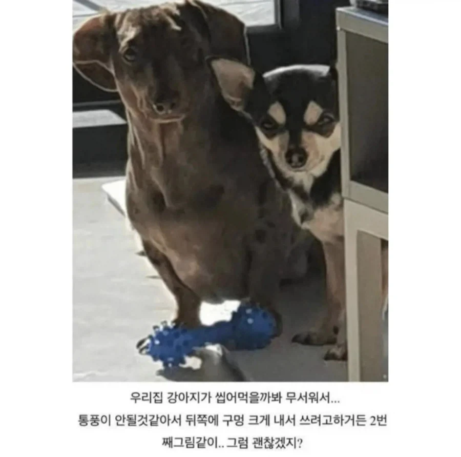 모두가 납득한 게임기를 숨기려는 이유_2.webp