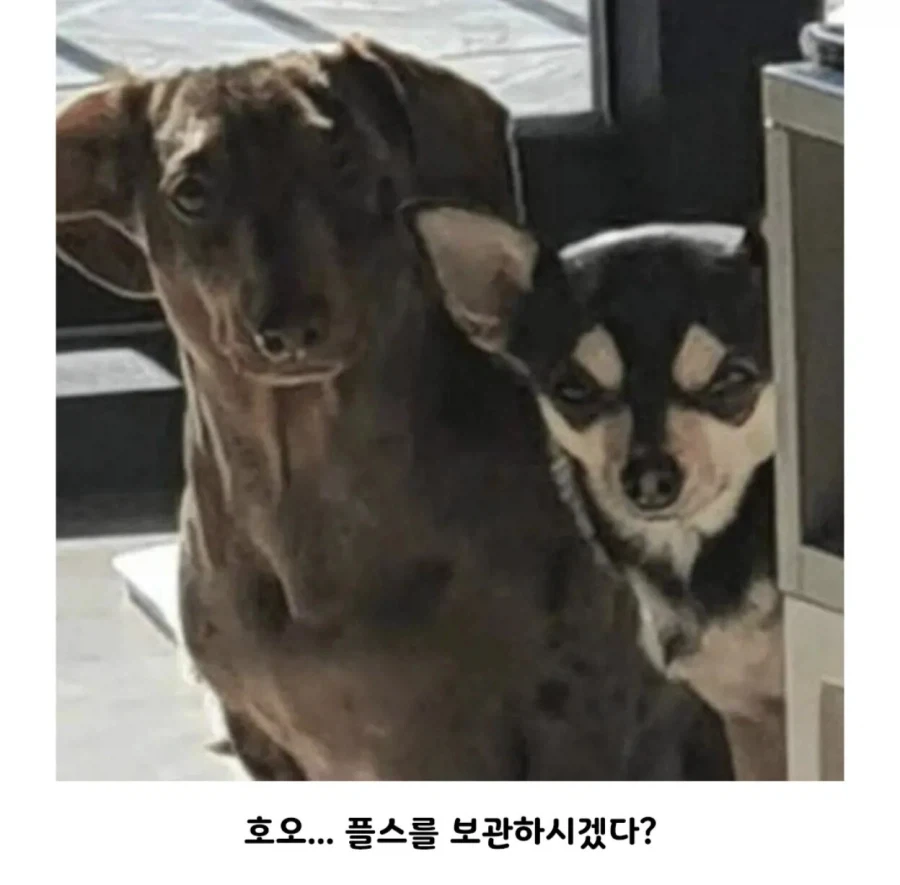 모두가 납득한 게임기를 숨기려는 이유_3.webp