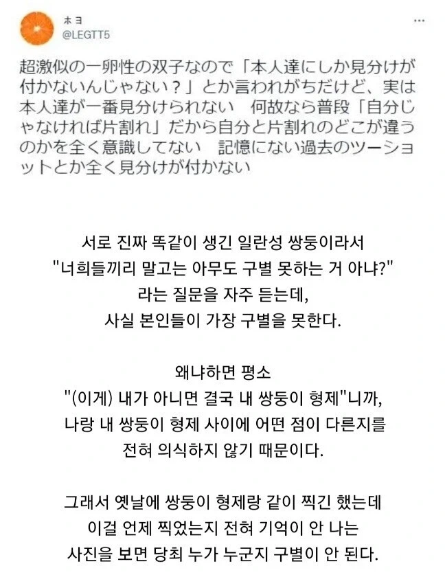 의외로 쌍둥이를 구별 못하는 사람.jpg_1.webp