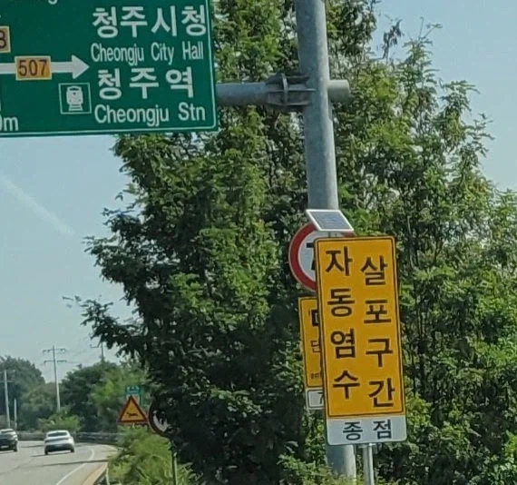자살 동포 염구 수간.jpg_1.webp