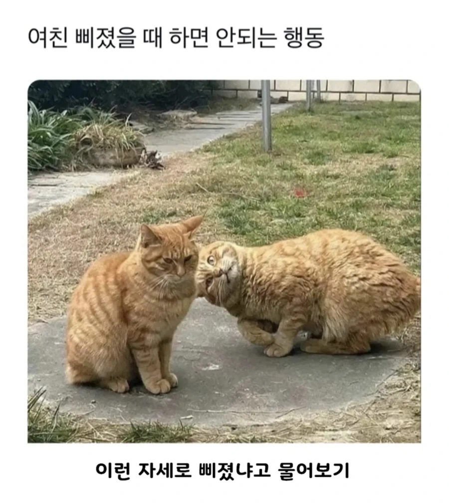여친이 삐졌을때 하지말아야하는 행동_1.webp