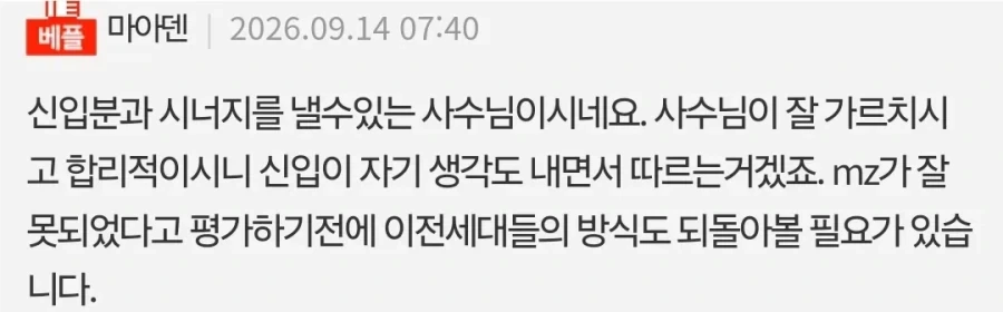 타부서에서 튕겨나온 MZ신입이랑 같이 일한지 9개월차 느낀점_6.webp