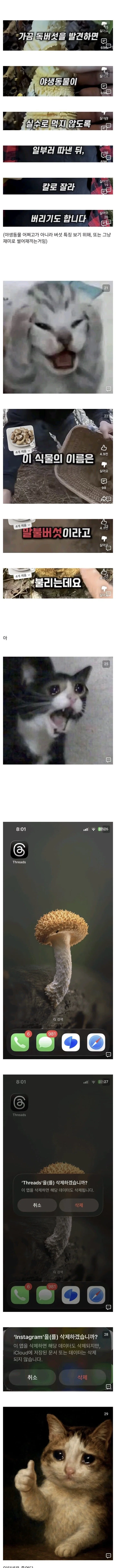 인터넷은 죽었다_2.webp