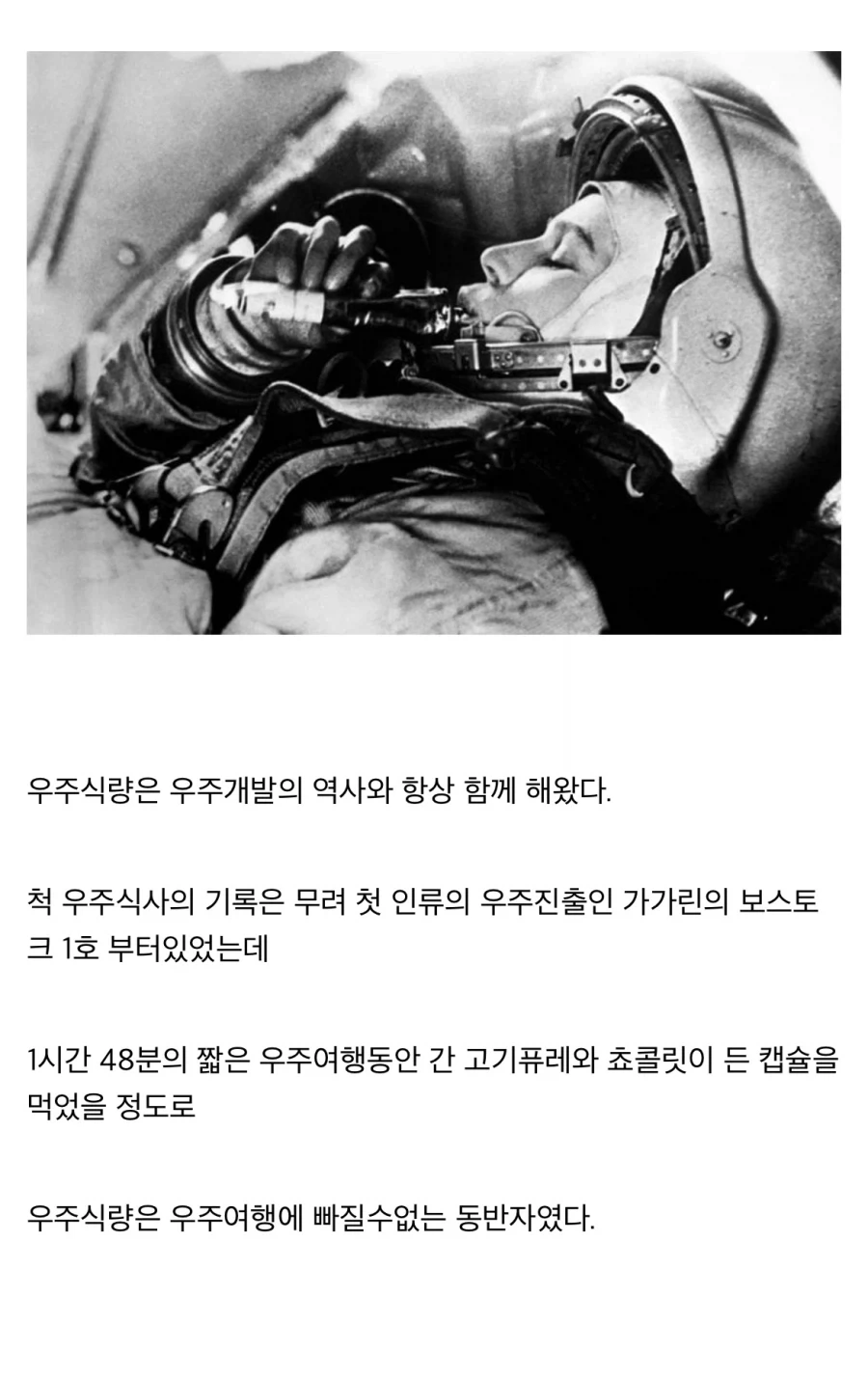 “레데리2에 나오는 스튜를 만들어보자!!”_25.webp