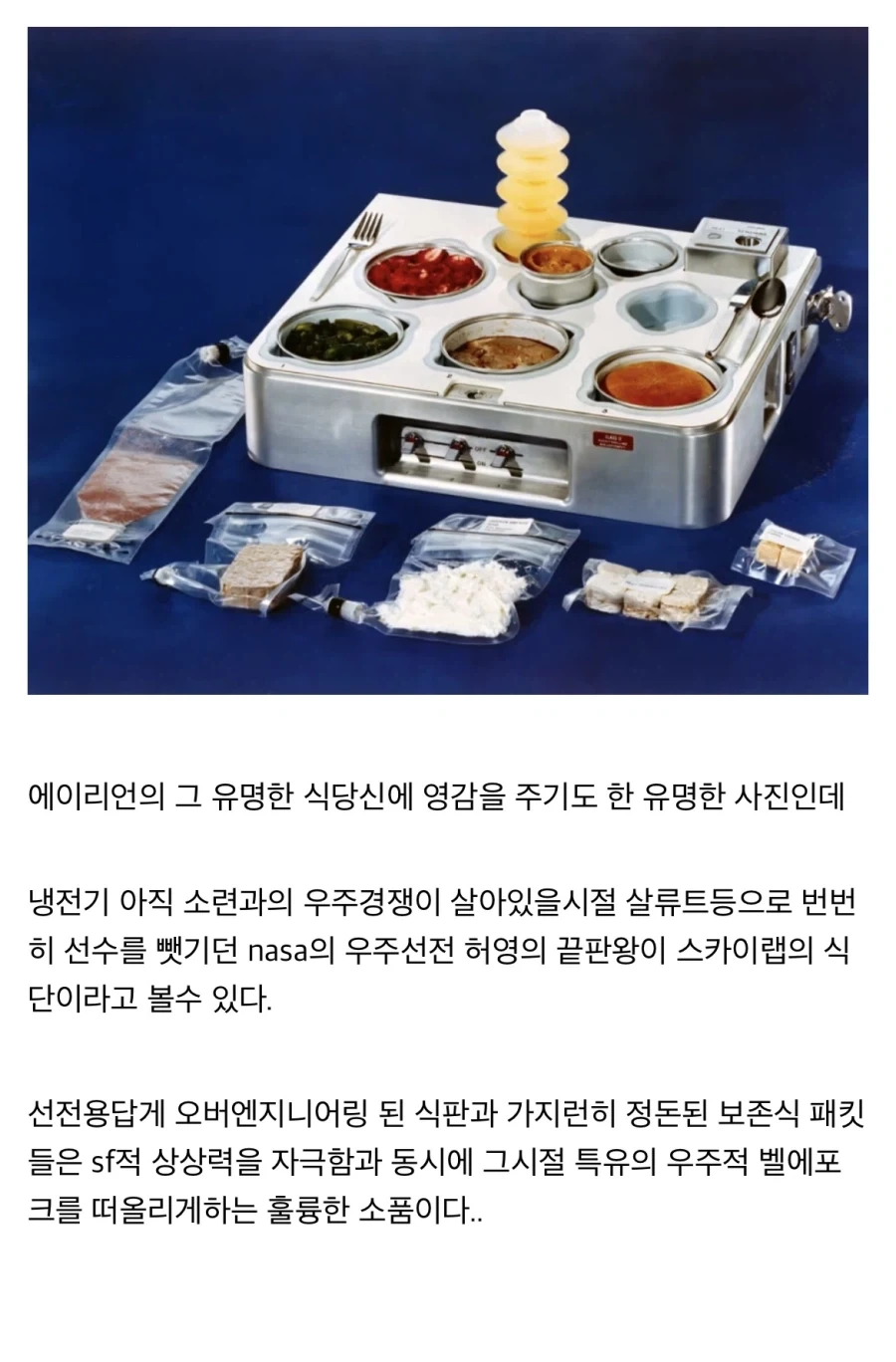 “레데리2에 나오는 스튜를 만들어보자!!”_27.webp
