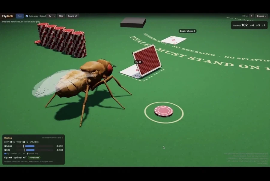 초파리는 전기양을 꿈꾸는가_3.webp