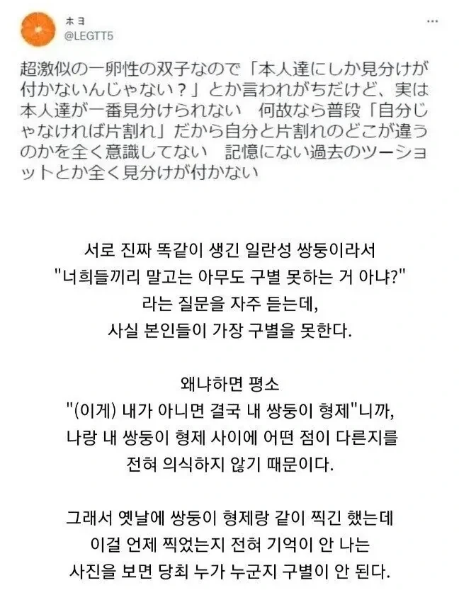 의외로 쌍둥이를 구별 못하는 사람.jpg_1.webp