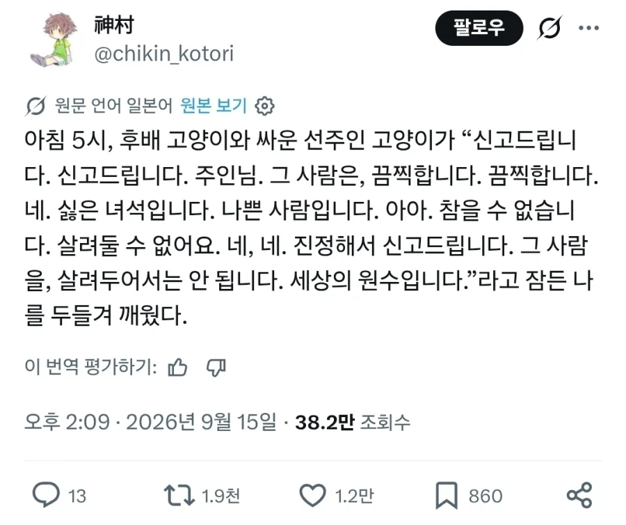 고양이의 직소.jpg_1.webp