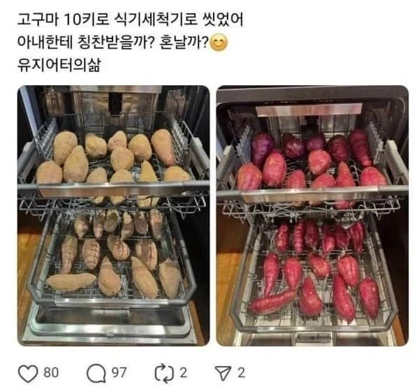 식기세척기 또다른 사용법_1.webp