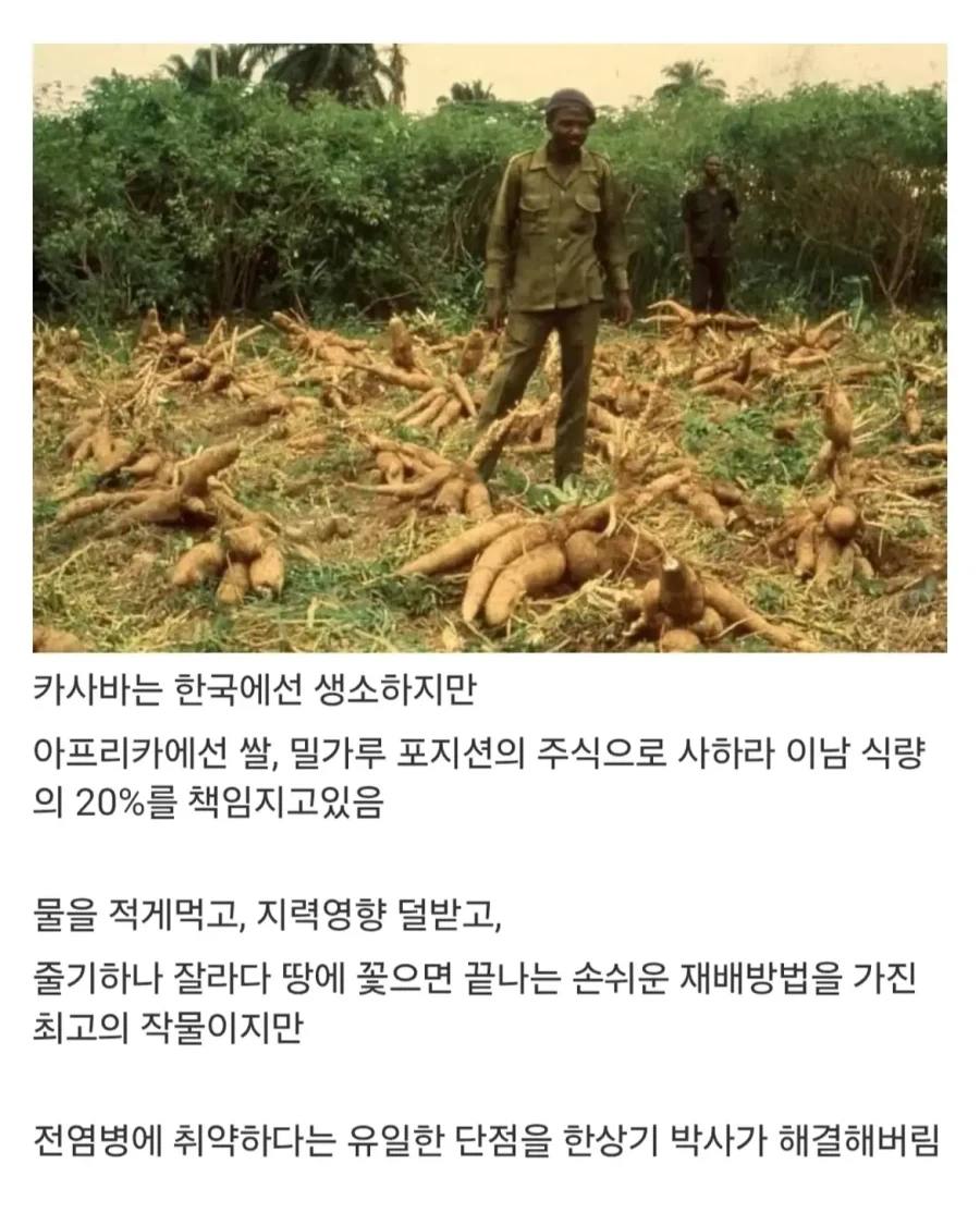 아프리카 한국인 대추장.jpg_4.webp