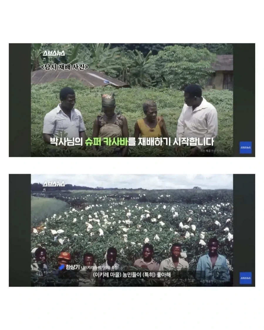 아프리카 한국인 대추장.jpg_5.webp