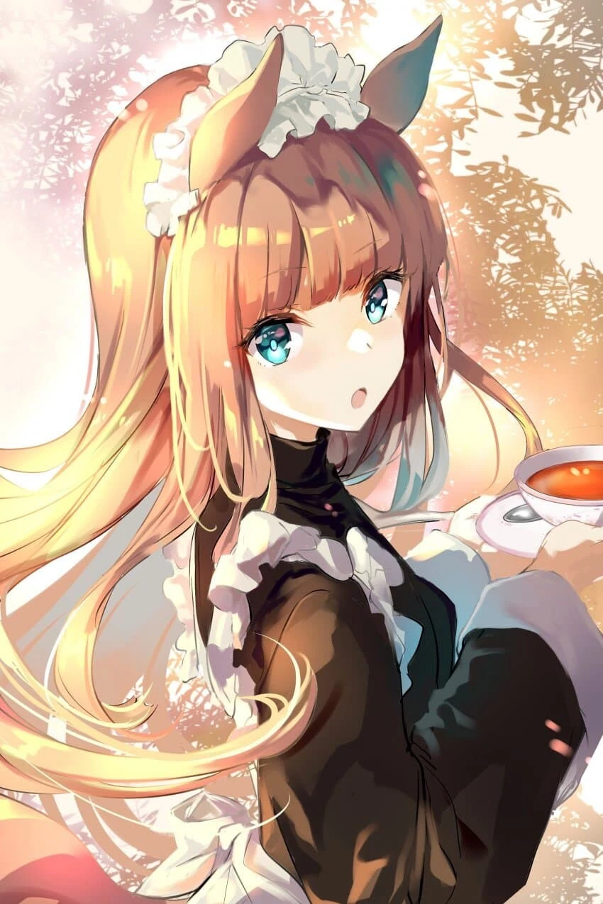 manga_2581397_002.webp