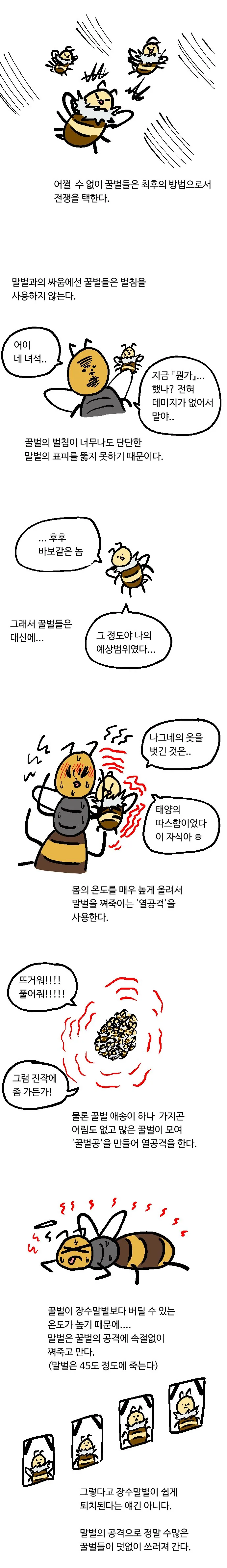 manga_557794_003.webp
