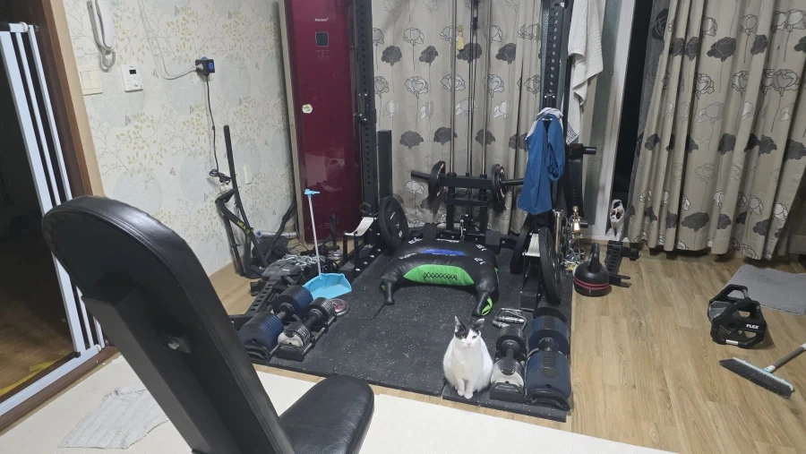결국 아빠한테 혼남 ㅋ_1.webp