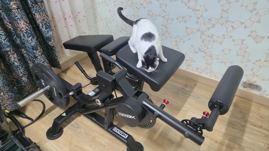 결국 아빠한테 혼남 ㅋ_2.webp