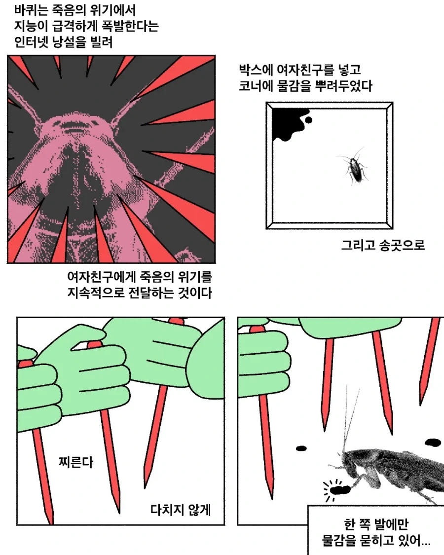 여자친구가 바퀴벌레가 된다면_2.webp