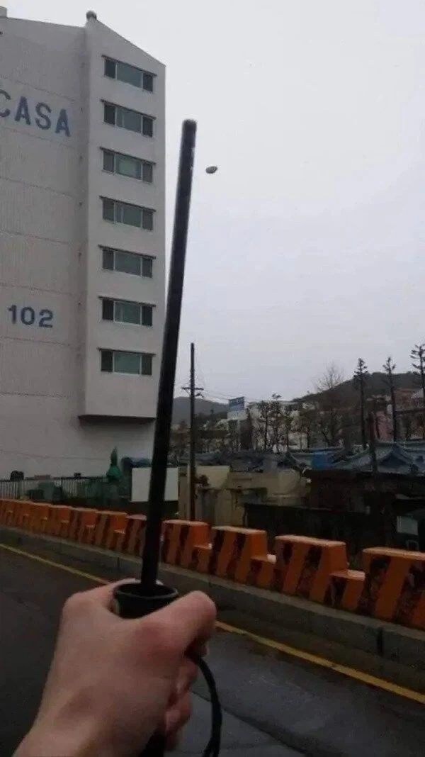 윙가르디움_1.webp