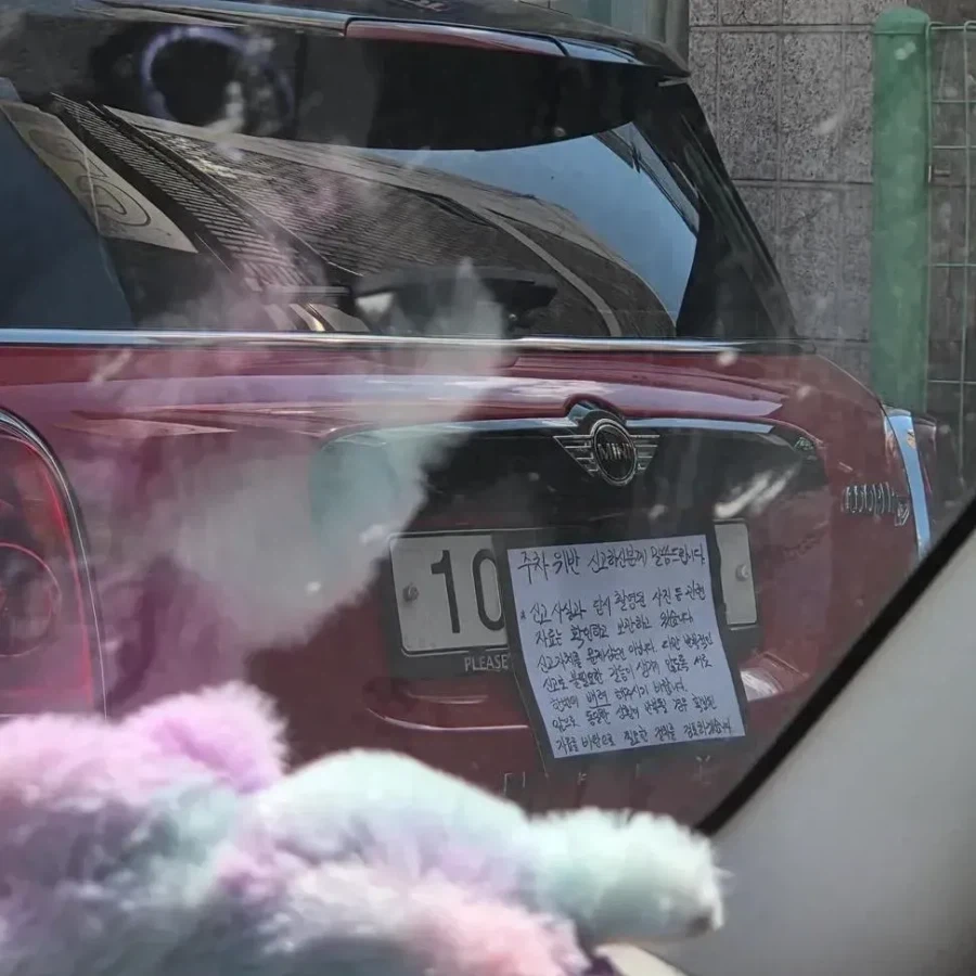 ???:자료를 바탕으로 필요한 절차를 검토하겠습니다_1.webp