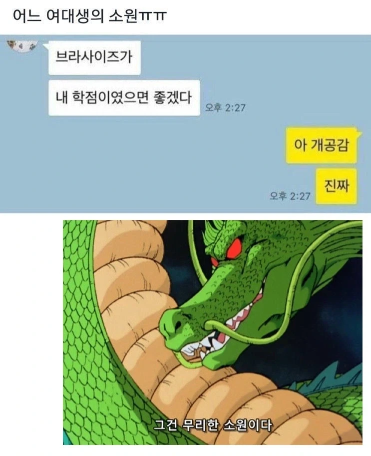 어느 여대생의 소원_1.webp
