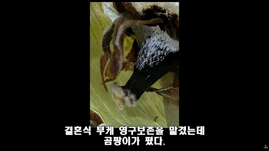 ??? : 환불 못해드림. 아 법대로 하시던가~_2.webp