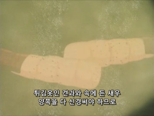 manga_608711_004.webp