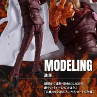 [반다이 혼웹상점] S.H.Figuarts 사카즈키(아카이누)-마린포드 정상결전-