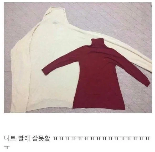 니트 빨래 잘못함_1.webp