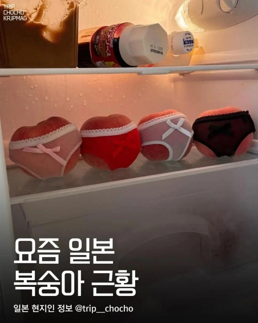 귀엽다고 난리난 일본 복숭아 포장법_1.webp
