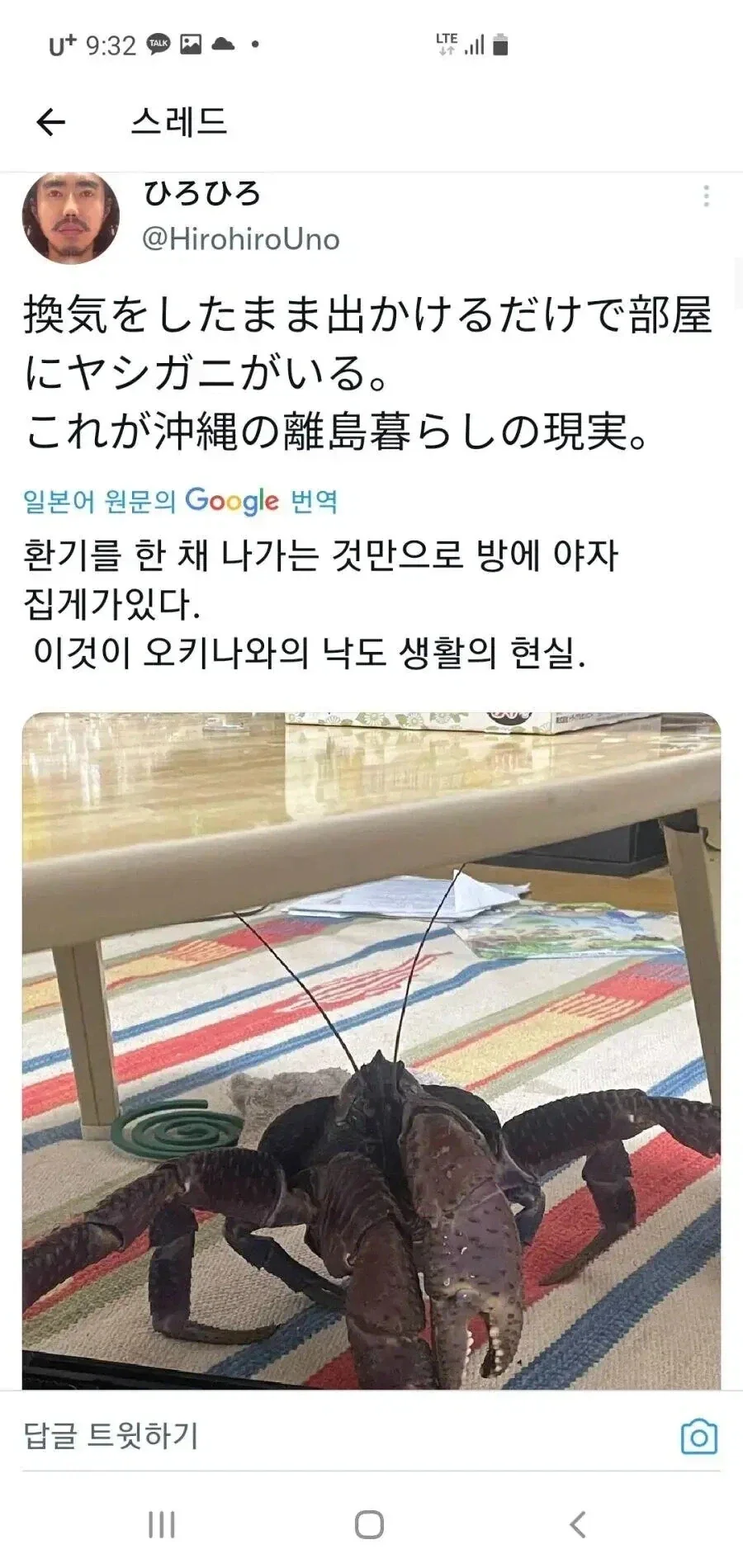 오키나와의 현실_1.webp