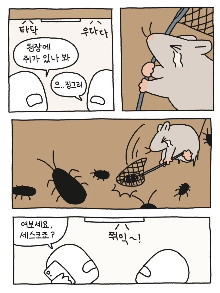 쥐가 집 천장에서 우다다 하는 이유_1.webp