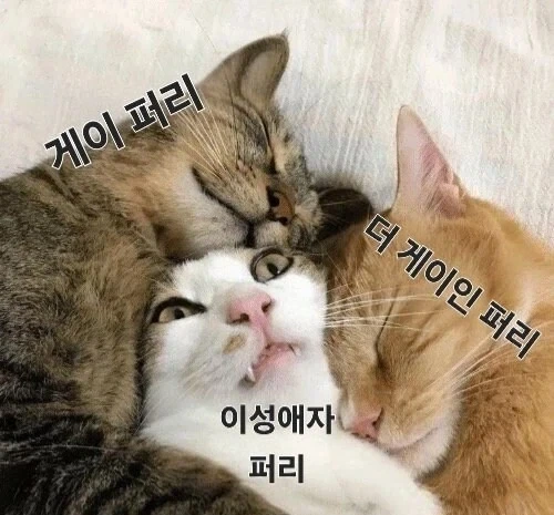 이성애자 퍼리의 단점_1.webp