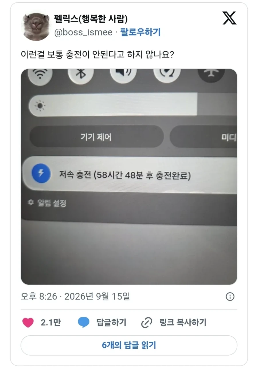 우리는 이걸