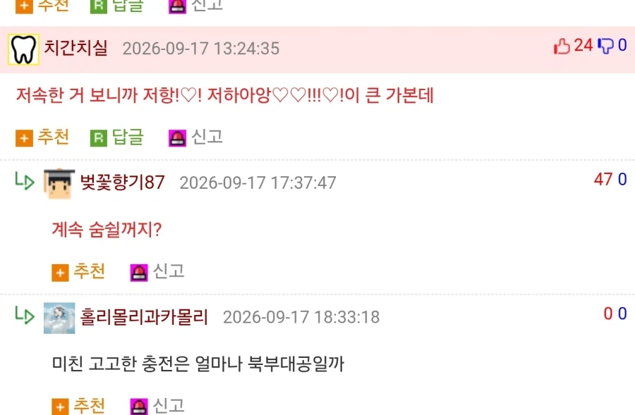 우리는 이걸