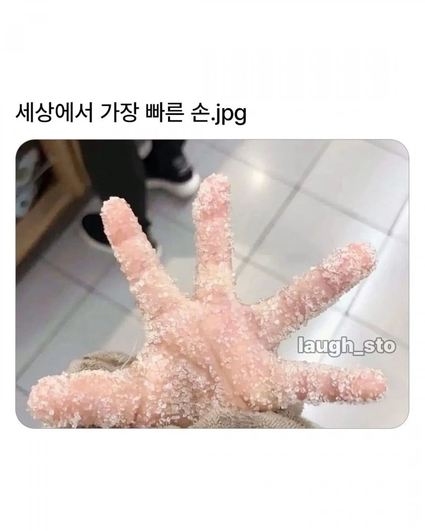 세상에서 가장 빠른 손_1.webp