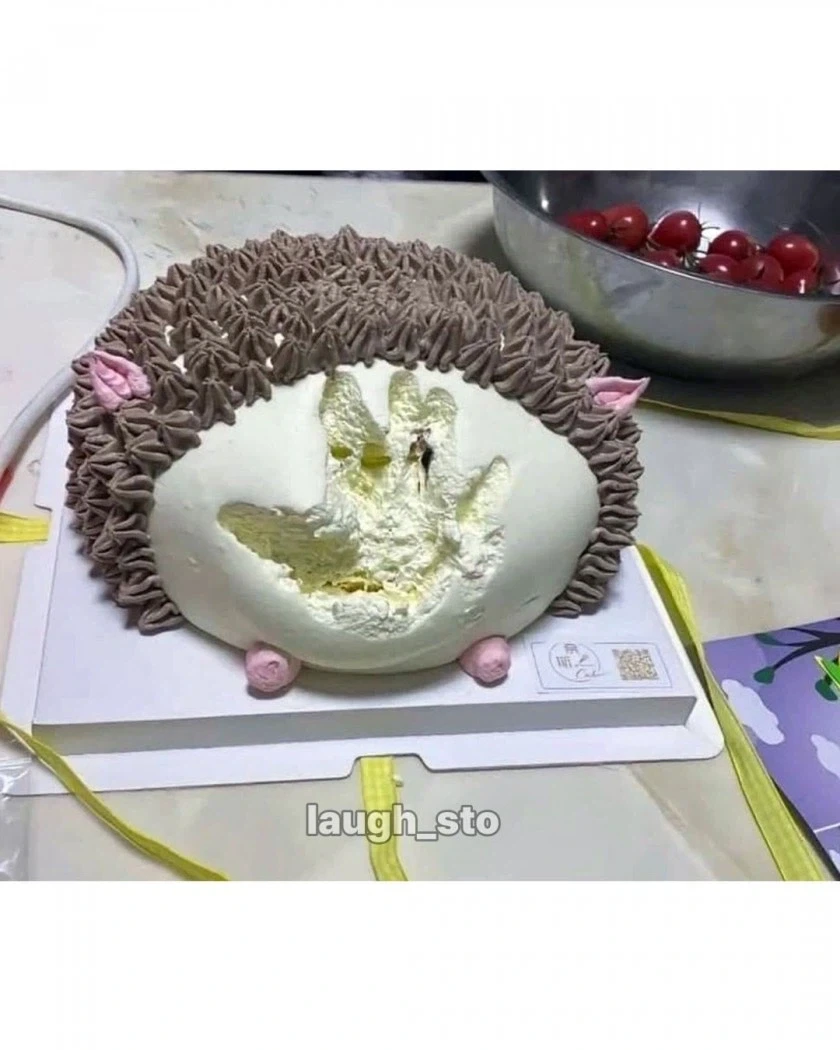 세상에서 가장 빠른 손_4.webp