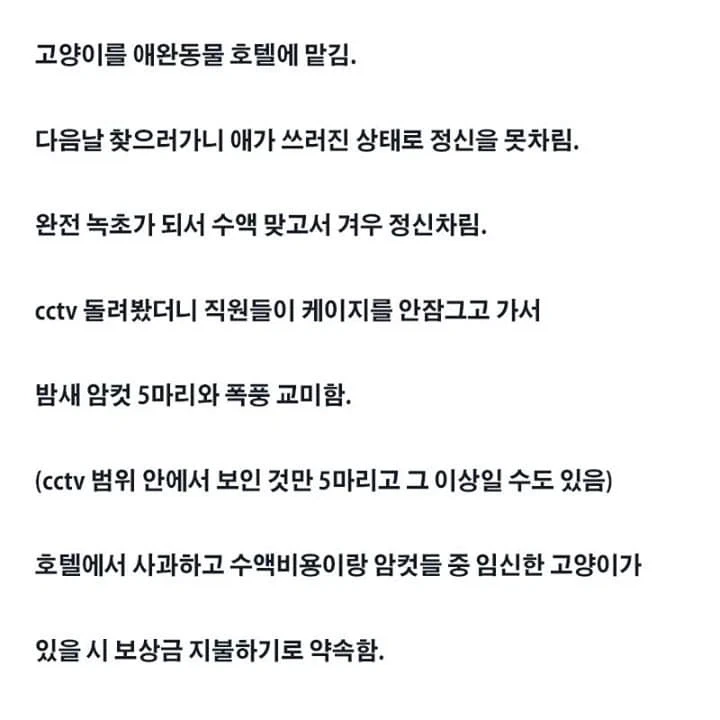 고앵이를 애완호텔에 맡김._1.webp
